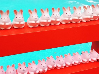 usagi