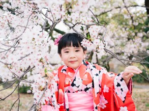 Destinations in Kyoto to Enjoy Spring Season