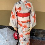 Introducing Mamechiyo Modern Yukata ♪