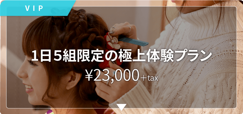 VIPプラン