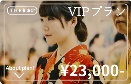 VIPプラン