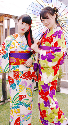 Pakej Antique Kimono