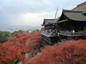 絕景清水寺紅葉1000棵的點燈展 京都和服體驗wargo