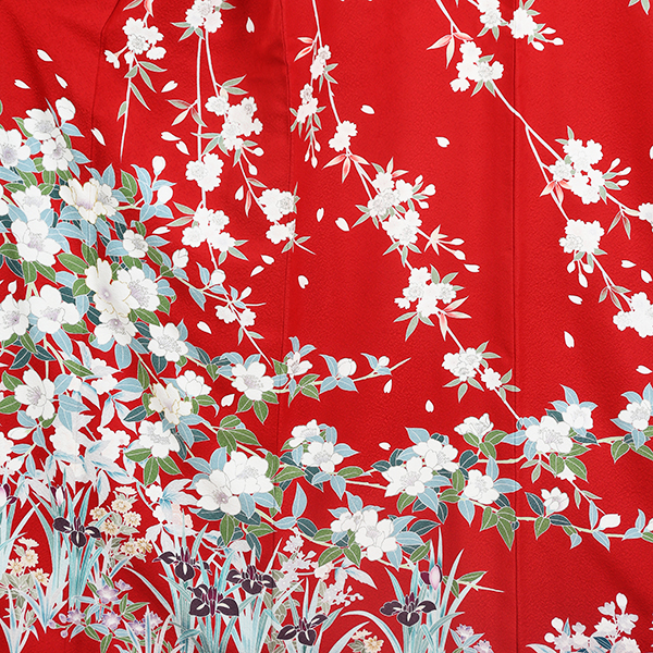 春の桜と水仙