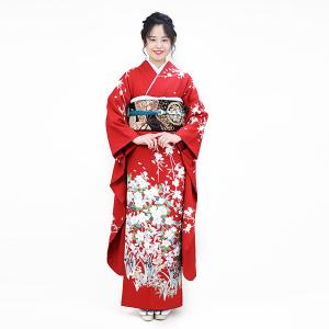 春の桜と水仙