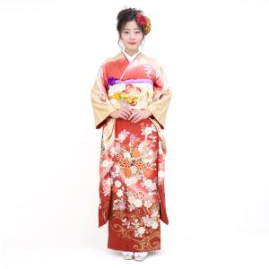 明け方の夢