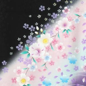 桜舞う紫式部