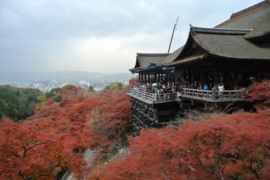 絕景清水寺紅葉1000棵的點燈展 京都和服體驗wargo