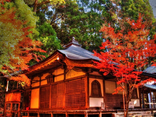 世界遺産寺院の紅葉は格別 高山寺 京都着物レンタルwargo