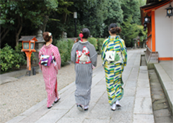 Go sightseeing Kyoto