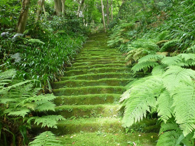 日本の趣を感じる苔寺 妙法寺 きものレンタルwargo鎌倉小町店