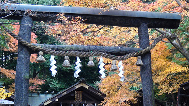 nonomiya-shrine-torii