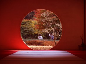 着物で歩く紅葉スポット~鎌倉編~