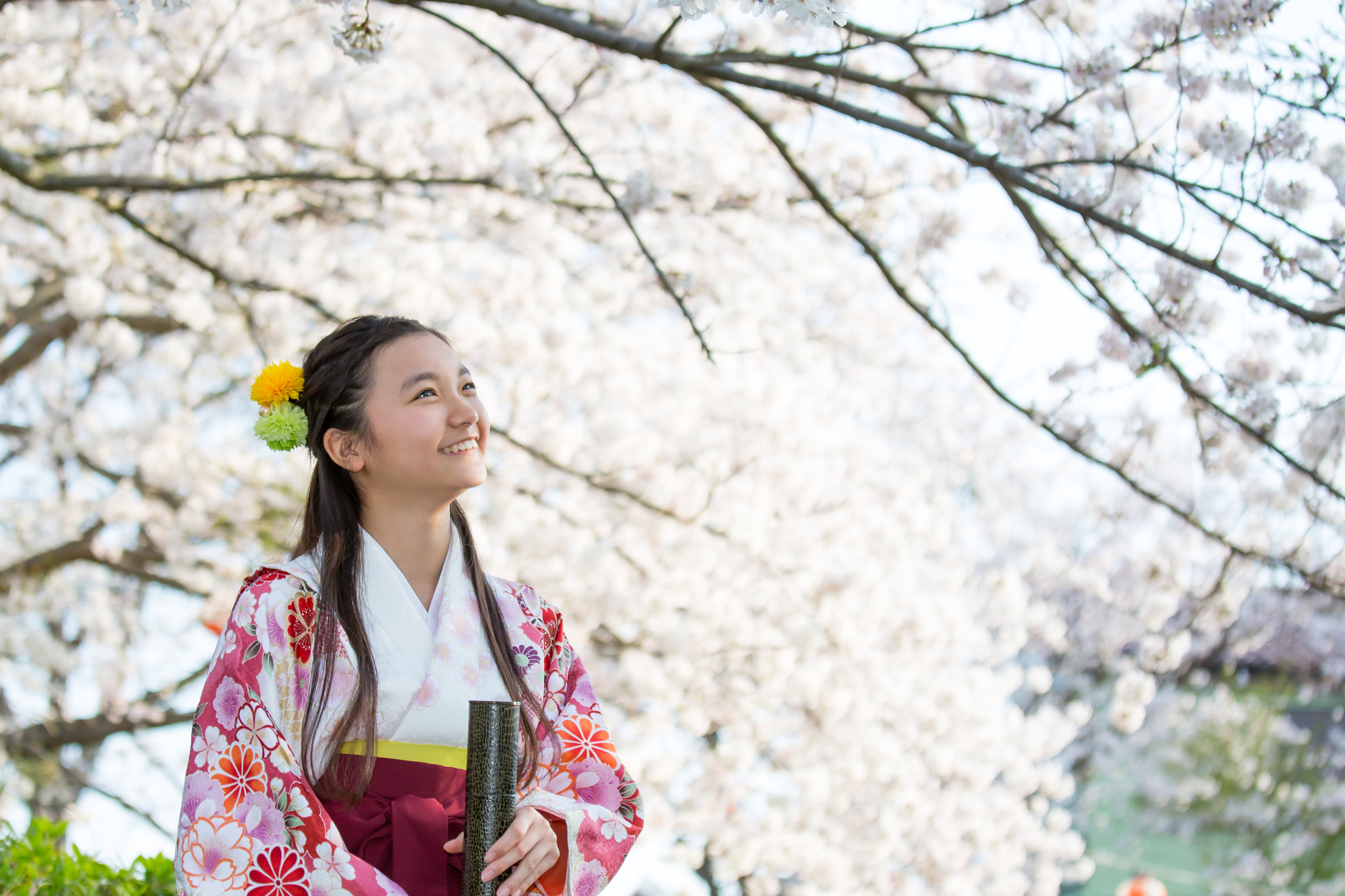 小学生が卒業式で袴を着用するときの5つの注意点 京都着物レンタルwargo