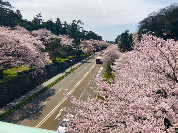 桜満開の兼六園 金沢店 京都着物レンタルwargo 19 04 10