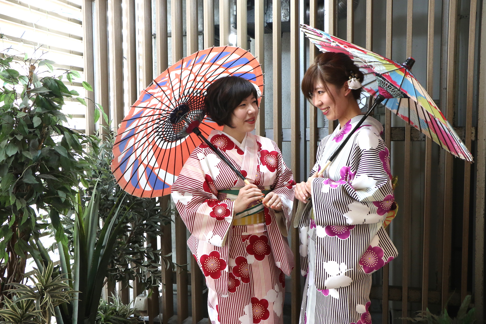 Kimono Anak-Anak Sangat Imut dan Lucu