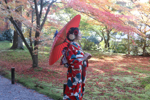 紅葉の季節が始まります！京都エリアは11月が見頃！
