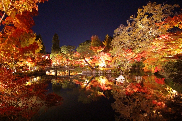 京都の寺社仏閣でライトアップがはじまりました