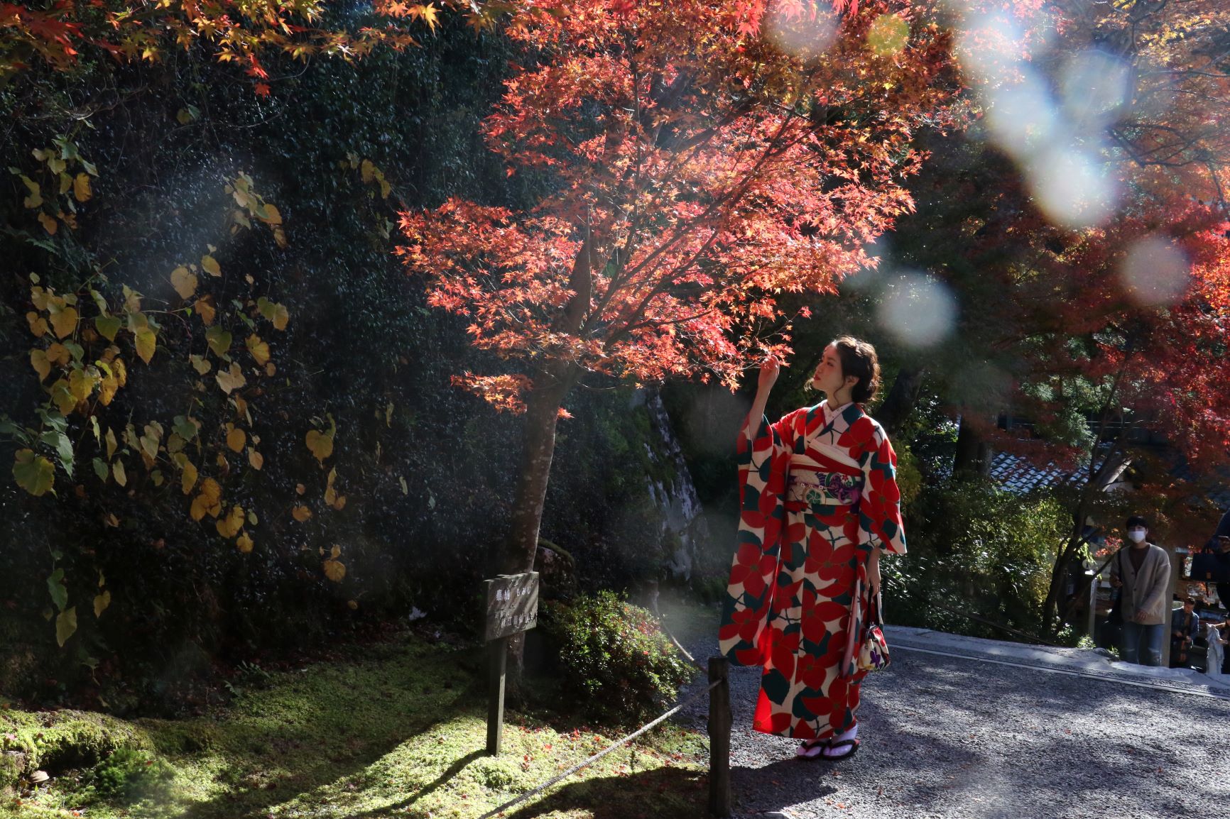 【京都エリア】まだ間に合う！紅葉を見にいくなら着物で！